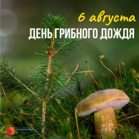 День грибных дождей День грибных дождей.